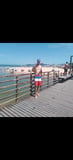 Buninho Acompanhante Buninho - Cabeçalho