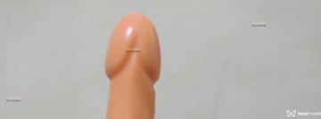 Vanessinha Acompanhante Vanessinha - Cabeçalho