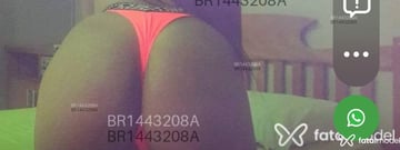 ANFISA Acompanhante ANFISA - Cabeçalho