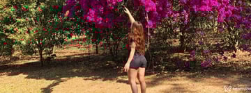 Julie Acompanhante Julie - Cabeçalho