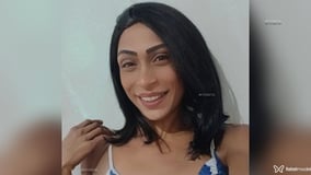 Meel Silva Acompanhante Meel Silva - Cabeçalho