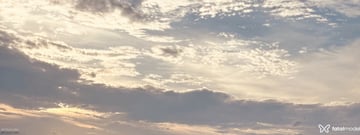 Acompanhante Carlinha - Cabeçalho