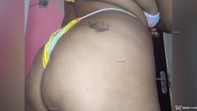 Mellody Acompanhante Mellody - Cabeçalho