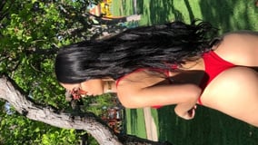 Acompanhante Emilly - Cabeçalho
