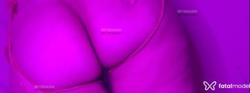 Acompanhante Kitty - Cabeçalho