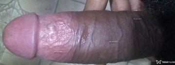 Acompanhante null - Cabeçalho