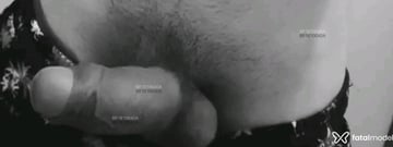 Acompanhante Acioly Couto - Cabeçalho