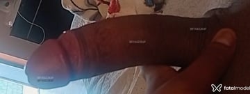 Klécinha Acompanhante Klécinha - Cabeçalho