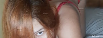 Acompanhante Anne - Cabeçalho