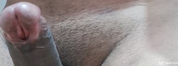 Vhiit Acompanhante Vhiit - Cabeçalho
