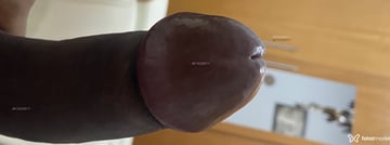 Acompanhante Pretosafado - Cabeçalho