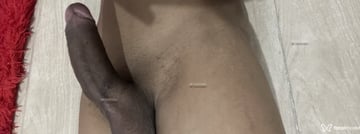Vinícius Acompanhante Vinícius - Cabeçalho