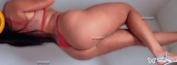 Acompanhante Sophie - Cabeçalho