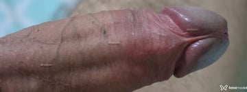 Magrao Acompanhante Magrao - Cabeçalho