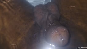 Mucilon Acompanhante Mucilon - Cabeçalho