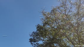 Feiticeiraa Acompanhante Feiticeiraa - Cabeçalho