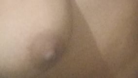 Biazinha Acompanhante Biazinha - Cabeçalho