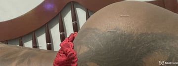 Dassa Acompanhante Dassa - Cabeçalho