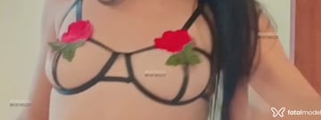 Acompanhante Safira - Cabeçalho