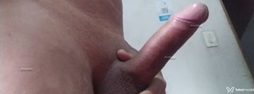 gnnnn Acompanhante gnnnn - Cabeçalho
