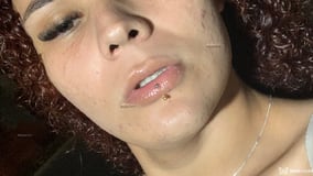 Lavinia Guerra Acompanhante Lavinia Guerra - Cabeçalho