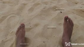 Moreninho Acompanhante Moreninho - Cabeçalho