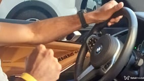 Cobra Acompanhante Cobra - Cabeçalho