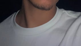 Noah Acompanhante Noah - Cabeçalho