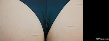 Acompanhante Monique - Cabeçalho