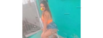 Acompanhante Luluzinha - Cabeçalho