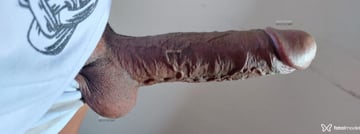 Pena Longa Acompanhante Pena Longa - Cabeçalho