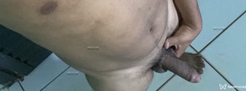 Moreninho Acompanhante Moreninho - Cabeçalho