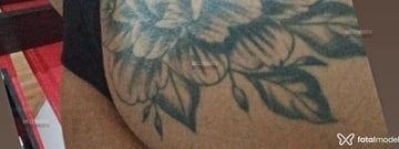 Cici Feitosa Acompanhante Cici Feitosa - Cabeçalho