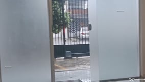 Gabys Acompanhante Gabys - Cabeçalho