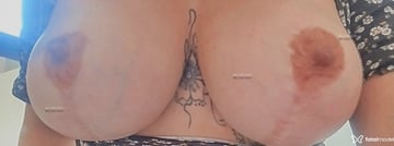 Acompanhante Ramona Graúda - Cabeçalho