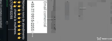 Acompanhante Lobãooo - Cabeçalho