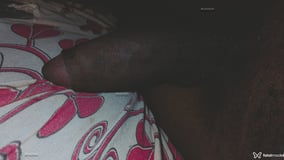 Pretin Acompanhante Pretin - Cabeçalho