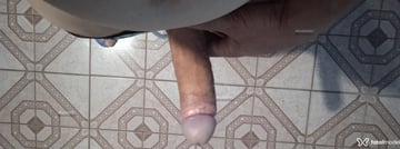 Acompanhante Alemão - Cabeçalho