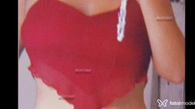 Erika Acompanhante Erika - Cabeçalho