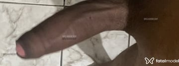 Acompanhante Daniel - Cabeçalho