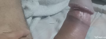 Acompanhante Matheus - Cabeçalho