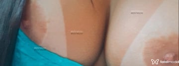 Acompanhante Vandinha - Cabeçalho