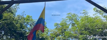 Acompanhante Lucão - Cabeçalho