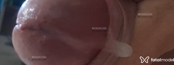 Cabuloz Acompanhante Cabuloz - Cabeçalho