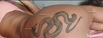 Acompanhante Larissa - Cabeçalho