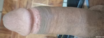 Acompanhante Vibracional - Cabeçalho
