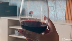 Myakitkat Acompanhante Myakitkat - Cabeçalho