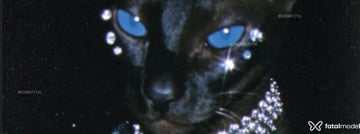 Acompanhante Raven Noir - Cabeçalho