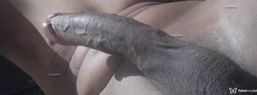 Acompanhante Kaique - Cabeçalho