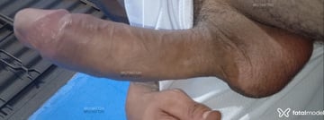 Acompanhante Della Matta - Cabeçalho